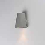 Mini 1-Light LED Outdoor Wall Sconce